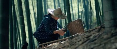 进博会宣传片：40年，中国与世界
